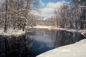 Winter on the Huron. Photo: T. Nelson